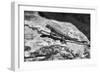 Canyon Land 19-Gordon Semmens-Framed Photographic Print