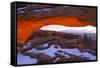 Canyon Lands National Park III-Ike Leahy-Framed Stretched Canvas