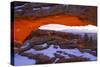 Canyon Lands National Park III-Ike Leahy-Stretched Canvas