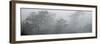 Canyon Mist I-Nicole Katano-Framed Photo