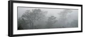 Canyon Mist I-Nicole Katano-Framed Photo