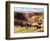 Canyon Mustangs-unknown Leone-Framed Art Print