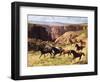 Canyon Mustangs-unknown Leone-Framed Art Print