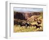 Canyon Mustangs-unknown Leone-Framed Art Print