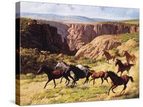 Canyon Mustangs-unknown Leone-Stretched Canvas