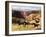 Canyon Mustangs-unknown Leone-Framed Art Print