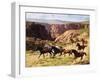 Canyon Mustangs-unknown Leone-Framed Art Print