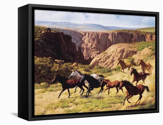 Canyon Mustangs-unknown Leone-Framed Stretched Canvas