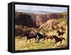 Canyon Mustangs-unknown Leone-Framed Stretched Canvas