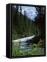 Canyon of the Fraser River, British Columbia (B.C.), Canada-Ruth Tomlinson-Framed Stretched Canvas