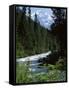 Canyon of the Fraser River, British Columbia (B.C.), Canada-Ruth Tomlinson-Framed Stretched Canvas