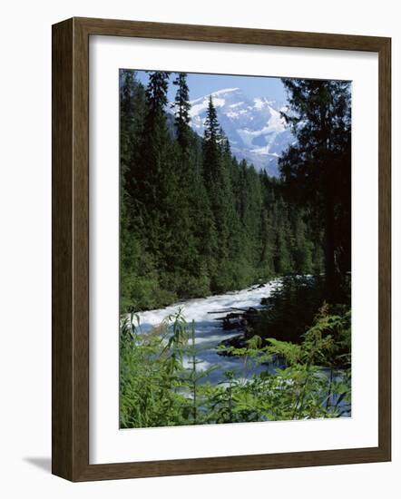 Canyon of the Fraser River, British Columbia (B.C.), Canada-Ruth Tomlinson-Framed Photographic Print