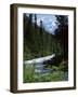 Canyon of the Fraser River, British Columbia (B.C.), Canada-Ruth Tomlinson-Framed Photographic Print