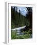Canyon of the Fraser River, British Columbia (B.C.), Canada-Ruth Tomlinson-Framed Photographic Print