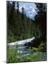 Canyon of the Fraser River, British Columbia (B.C.), Canada-Ruth Tomlinson-Mounted Photographic Print