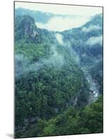 Canyon of the Russel Fork, River Breaks Interstate State Park, Virginia, USA-Charles Gurche-Mounted Premium Photographic Print