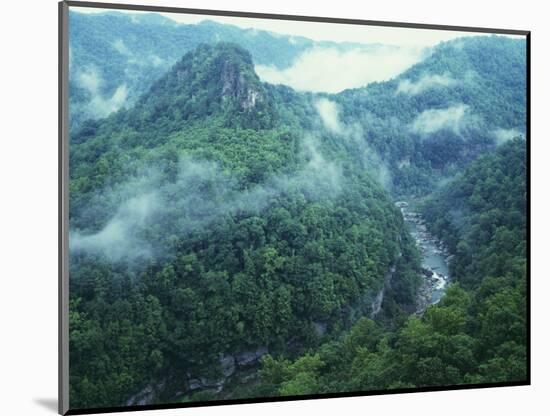 Canyon of the Russel Fork, River Breaks Interstate State Park, Virginia, USA-Charles Gurche-Mounted Photographic Print