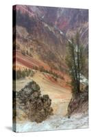 Canyon Portrait, Grand Canyon of the Yellowstone-Vincent James-Stretched Canvas