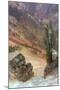 Canyon Portrait, Grand Canyon of the Yellowstone-Vincent James-Mounted Photographic Print