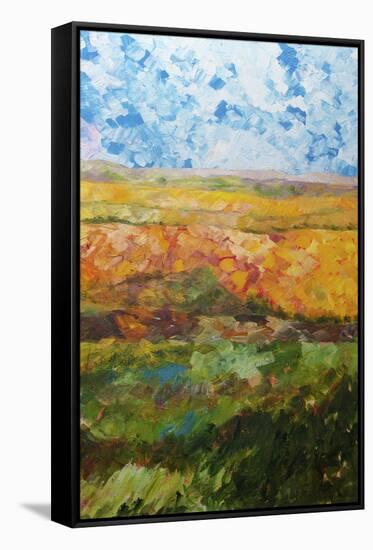 Canyon Ridge II-Allan Friedlander-Framed Stretched Canvas