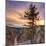 Canyon Sunset Tree, Yellowstone, Square-Vincent James-Mounted Photographic Print