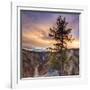 Canyon Sunset Tree, Yellowstone, Square-Vincent James-Framed Photographic Print