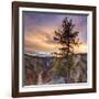 Canyon Sunset Tree, Yellowstone, Square-Vincent James-Framed Photographic Print