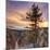 Canyon Sunset Tree, Yellowstone, Square-Vincent James-Mounted Photographic Print