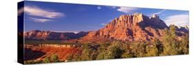 Canyon Surrounded with Forest, Escalante Canyon, Zion National Park, Washington County, Utah, USA-null-Stretched Canvas