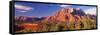 Canyon Surrounded with Forest, Escalante Canyon, Zion National Park, Washington County, Utah, USA-null-Framed Stretched Canvas