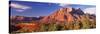 Canyon Surrounded with Forest, Escalante Canyon, Zion National Park, Washington County, Utah, USA-null-Stretched Canvas