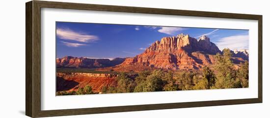 Canyon Surrounded with Forest, Escalante Canyon, Zion National Park, Washington County, Utah, USA-null-Framed Photographic Print