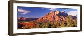 Canyon Surrounded with Forest, Escalante Canyon, Zion National Park, Washington County, Utah, USA-null-Framed Photographic Print