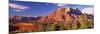 Canyon Surrounded with Forest, Escalante Canyon, Zion National Park, Washington County, Utah, USA-null-Mounted Photographic Print