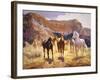 Canyon Trails-Claire Goldrick-Framed Art Print