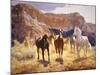 Canyon Trails-Claire Goldrick-Mounted Art Print