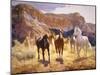 Canyon Trails-Claire Goldrick-Mounted Art Print