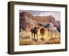 Canyon Trails-Claire Goldrick-Framed Art Print