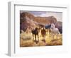 Canyon Trails-Claire Goldrick-Framed Art Print