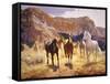 Canyon Trails-Claire Goldrick-Framed Stretched Canvas