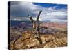 Canyon View V-David Drost-Stretched Canvas