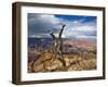 Canyon View V-David Drost-Framed Photographic Print