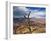 Canyon View V-David Drost-Framed Photographic Print