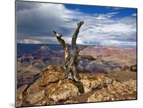 Canyon View V-David Drost-Mounted Photographic Print
