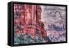 Canyon Walls, Zion National Park-Vincent James-Framed Stretched Canvas