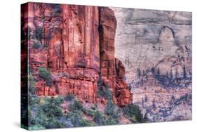 Canyon Walls, Zion National Park-Vincent James-Stretched Canvas