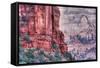 Canyon Walls, Zion National Park-Vincent James-Framed Stretched Canvas