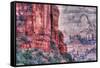 Canyon Walls, Zion National Park-Vincent James-Framed Stretched Canvas