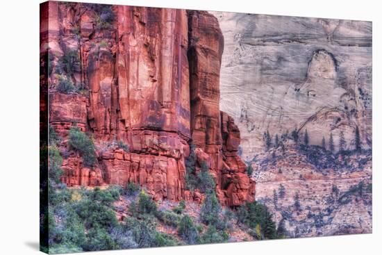 Canyon Walls, Zion National Park-Vincent James-Stretched Canvas