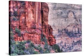 Canyon Walls, Zion National Park-Vincent James-Stretched Canvas